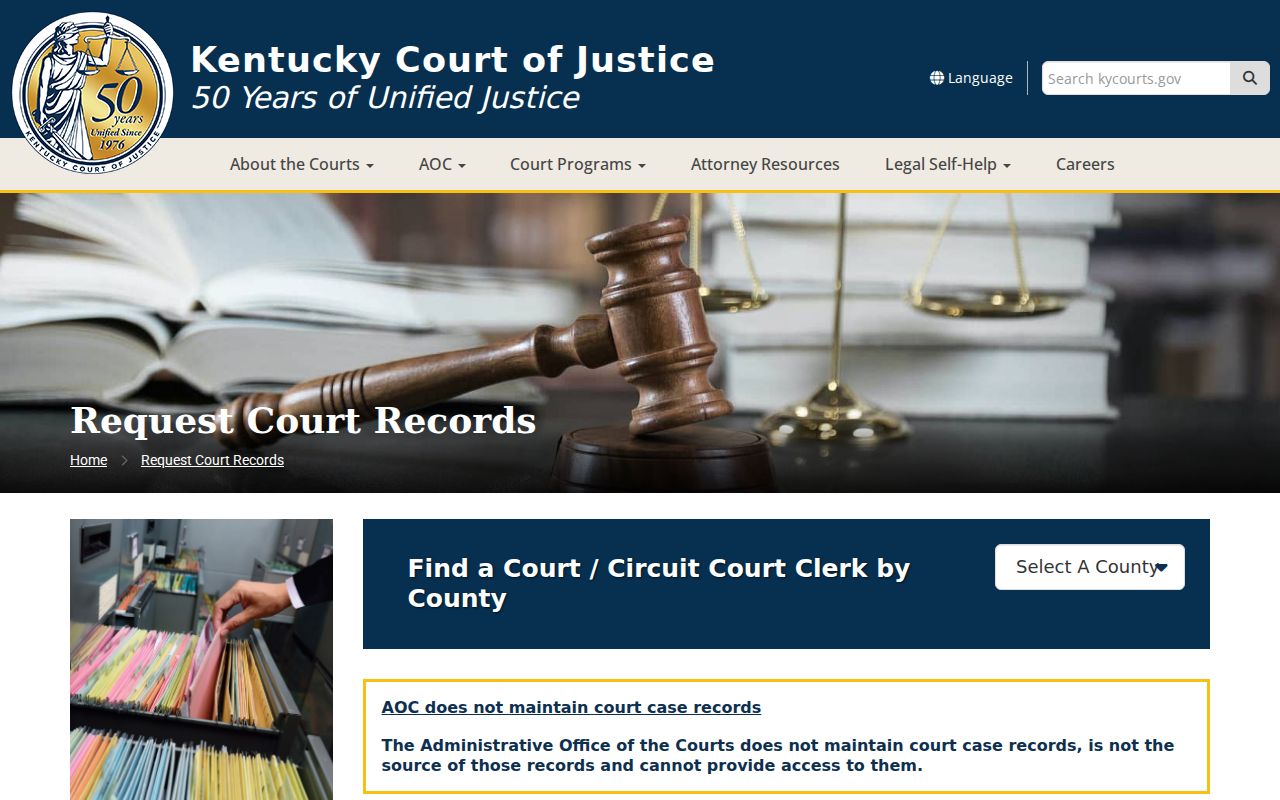 Madison County archived criminal court case request instructions